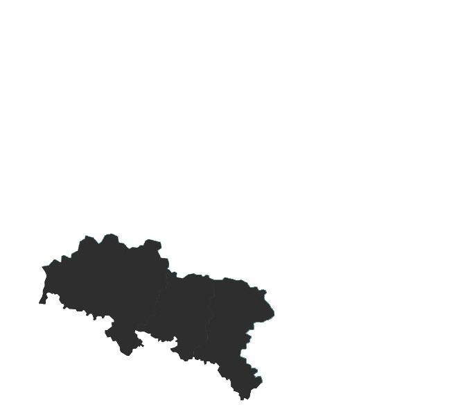 Przedstawiciele Polska